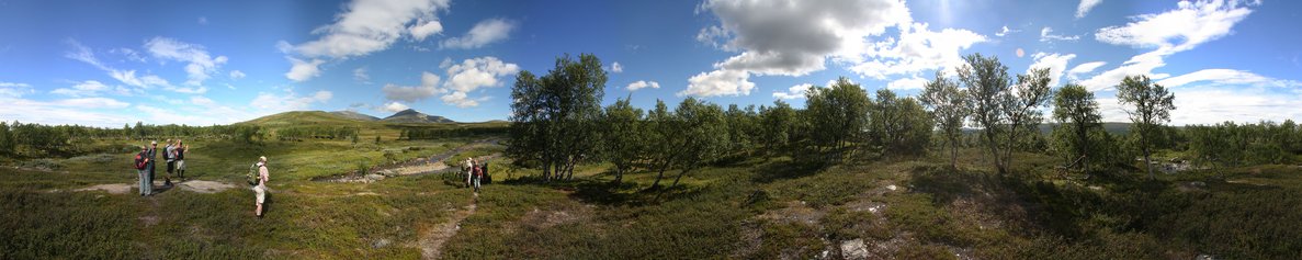 Skarsfjället